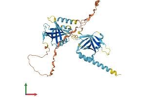 AlphaFold protein structure predicition of Mouse Recombinant Ptov1 Protein, UniprotID Q91VU8
