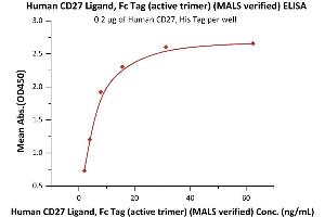 Immobilized Human CD27, His Tag (ABIN5955005,ABIN6253520) at 2 μg/mL (100 μL/well) can bind Human CD27 Ligand, Fc Tag (active trimer) (MALS verified) (ABIN6951036,ABIN6952263) with a linear range of 0.