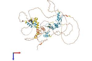 AlphaFold protein structure predicition of Mouse Recombinant Hic2 Protein, UniprotID Q9JLZ6