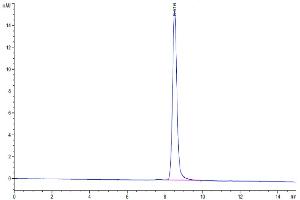 The purity of Cynomolgus AFP is greater than 95 % as determined by SEC-HPLC.