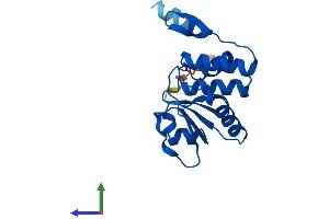 AlphaFold protein structure predicition of Human Recombinant DUSP21 Protein, UniprotID Q9H596