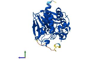 AlphaFold protein structure predicition of Mouse Recombinant Ppp2ca Protein, UniprotID P63330