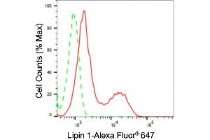 Flow cytometric analysis of Lipin 1 expression in HepG2 cells using Lipin 1 antibody (ABIN7799276), 1:2,000). (Recombinant Lipin 1 anticorps)