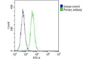 Overlay histogram showing Hela cells stained with (ABIN655516 and ABIN2845031) (green line).