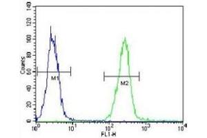 AARS2 antibody flow cytometric analysis of K562 cells (right histogram) compared to a negative control cell (left histogram).