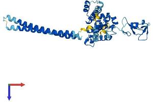 AlphaFold protein structure predicition of Human Recombinant RMND5B Protein, UniprotID Q96G75