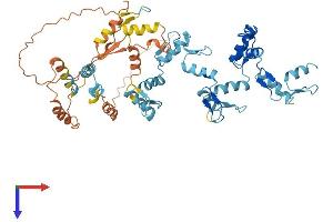 AlphaFold protein structure predicition of Human Recombinant ZNF426 Protein, UniprotID Q9BUY5