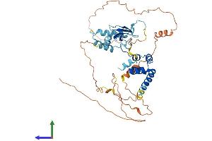 AlphaFold protein structure predicition of Mouse Recombinant Fbxo5 Protein, UniprotID Q7TSG3