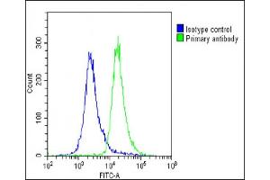 Overlay histogram showing U-2 OS cells stained with (ABIN1538275 and ABIN2849896)(green line).