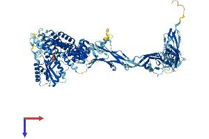 AlphaFold protein structure predicition of Human Recombinant TRAPPC11 Protein, UniprotID Q7Z392