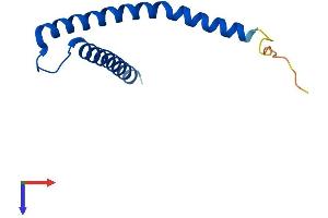 AlphaFold protein structure predicition of Human Recombinant TIMM10B Protein, UniprotID Q9Y5J6