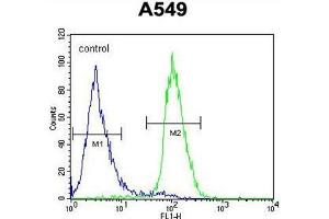 C1orf51 Antibody (N-term) flow cytometric analysis of A549 cells (right histogram) compared to a negative control cell (left histogram).