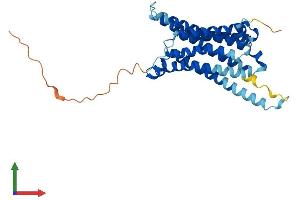 AlphaFold protein structure predicition of Human Recombinant MC3R Protein, UniprotID P41968