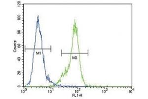 Dnmt1 antibody flow cytometric analysis of MDA-MB435 cells (right histogram) compared to a negative control (left histogram).