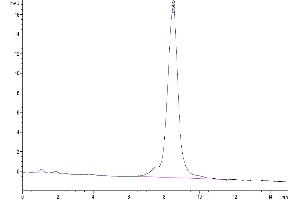The purity of Mouse CSPG5 is greater than 95 % as determined by SEC-HPLC.