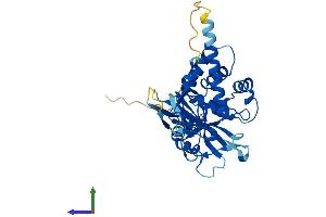 AlphaFold protein structure predicition of Human Recombinant USP46 Protein, UniprotID P62068