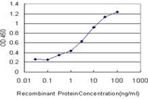 Detection limit for recombinant GST tagged SLC15A1 is approximately 0.