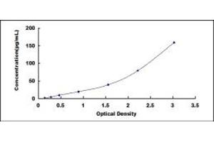 Typical standard curve (ITLN1/Omentin Kit ELISA)