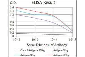ELISA image for anti-Chromosome 17 Open Reading Frame 53 (C17ORF53) (AA 282-527) antibody (ABIN1842990) (C17orf53 anticorps  (AA 282-527))