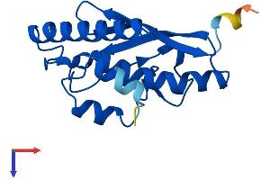 AlphaFold protein structure predicition of Human Recombinant UFC1 Protein, UniprotID Q9Y3C8