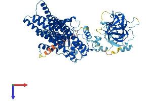 AlphaFold protein structure predicition of Mouse Recombinant Pomt1 Protein, UniprotID Q8R2R1