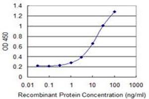 Detection limit for recombinant GST tagged RDH12 is 0.