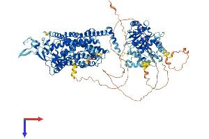 AlphaFold protein structure predicition of Mouse Recombinant Slc12a6 Protein, UniprotID Q924N4