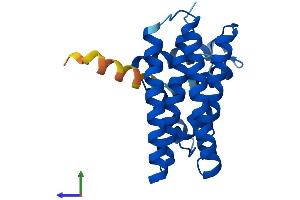 AlphaFold protein structure predicition of Human Recombinant PDCD10 Protein, UniprotID Q9BUL8