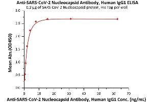 Immobilized SARS-CoV-2 Nucleocapsid protein, His Tag (Cat. (SARS-CoV-2 Nucleocapsid anticorps)