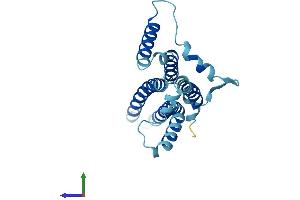 AlphaFold protein structure predicition of Human Recombinant MT-ATP6 Protein, UniprotID P00846