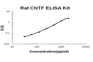 Rat CNTF Accusignal ELISA Kit Rat CNTF AccuSignal Elisa Kit standard curve. (CNTF Kit ELISA)