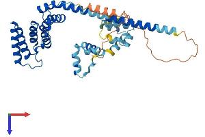 AlphaFold protein structure predicition of Mouse Recombinant St13 Protein, UniprotID Q99L47