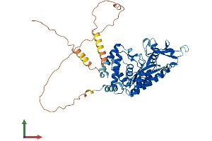 AlphaFold protein structure predicition of Human Recombinant MIEF2 Protein, UniprotID Q96C03