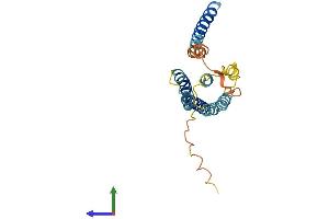 AlphaFold protein structure predicition of Mouse Recombinant Tmem98 Protein, UniprotID Q91X86