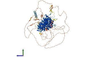 AlphaFold protein structure predicition of Human Recombinant ARVCF Protein, UniprotID O00192