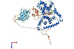AlphaFold protein structure predicition of Human Recombinant TBC1D17 Protein, UniprotID Q9HA65