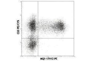 Flow Cytometry (FACS) image for anti-Interleukin 2 (IL2) antibody (PE) (ABIN2663775) (IL-2 anticorps  (PE))