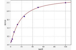 PDGF-AB Heterodimer ELISA Kit