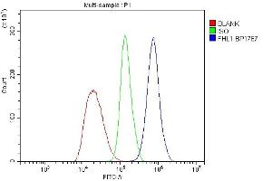 Flow Cytometry analysis of Ana-1 cells using anti-FHL antibody (ABIN7599209). (FHL1 anticorps  (AA 1-280))