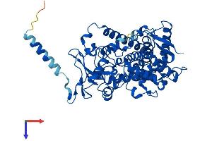 AlphaFold protein structure predicition of Human Recombinant CYP1A1 Protein, UniprotID P04798