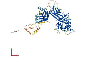 AlphaFold protein structure predicition of Mouse Recombinant Rbpjl Protein, UniprotID O08674