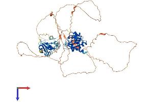 AlphaFold protein structure predicition of Mouse Recombinant Dusp8 Protein, UniprotID O09112