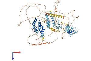 AlphaFold protein structure predicition of Human Recombinant SP110 Protein, UniprotID Q9HB58