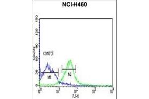 PRKACA Antibody (N-term K82) (ABIN390798 and ABIN2841043) flow cytometric analysis of NCI- cells (right histogram) compared to a negative control cell (left histogram). (PRKACA anticorps  (N-Term))