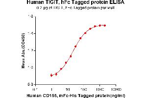 ELISA plate pre-coated by 2 μg/mL (100 μL/well) Human CD155, mFc-His tagged protein ([getskuurl sku
