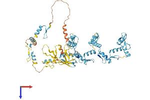 AlphaFold protein structure predicition of Mouse Recombinant Prdm5 Protein, UniprotID Q9CXE0