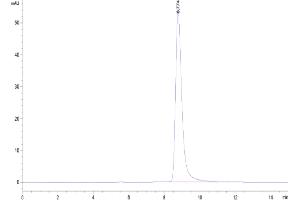 The purity of Cynomolgus TSLPR is greater than 95 % as determined by SEC-HPLC.