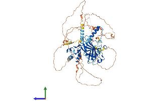 AlphaFold protein structure predicition of Human Recombinant TP63 Protein, UniprotID Q9H3D4