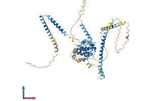 AlphaFold protein structure predicition of Mouse Recombinant Ccdc60 Protein, UniprotID Q8C4J0