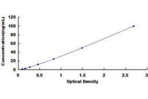 Carboxypeptidase A1 (Pancreatic) (CPA1) ELISA Kit